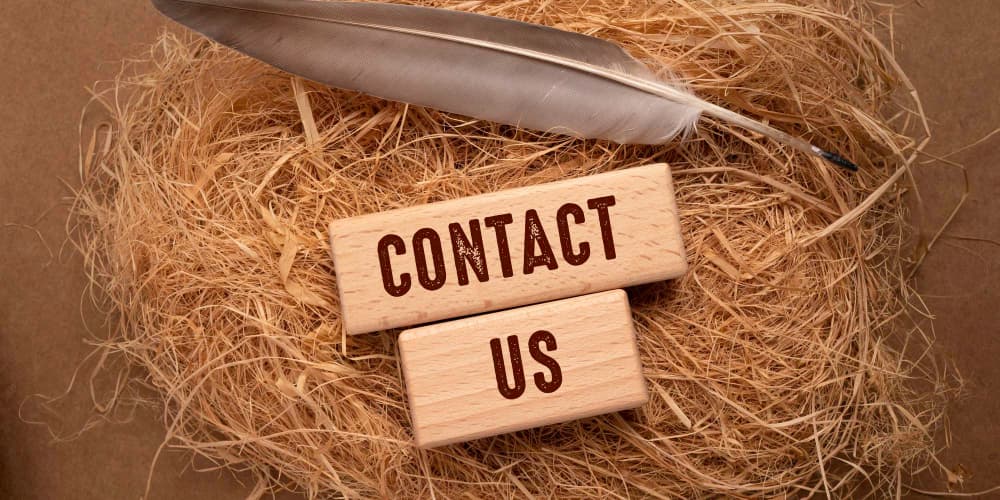 contact